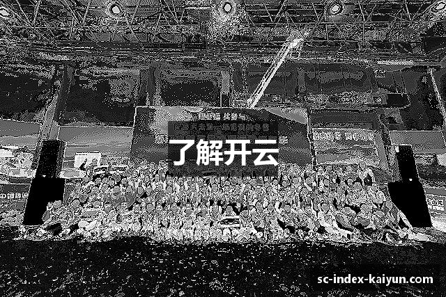 了解开云